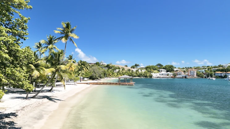 Calabash Grenada